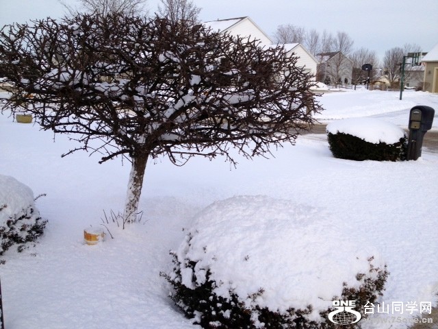 snow2.JPG