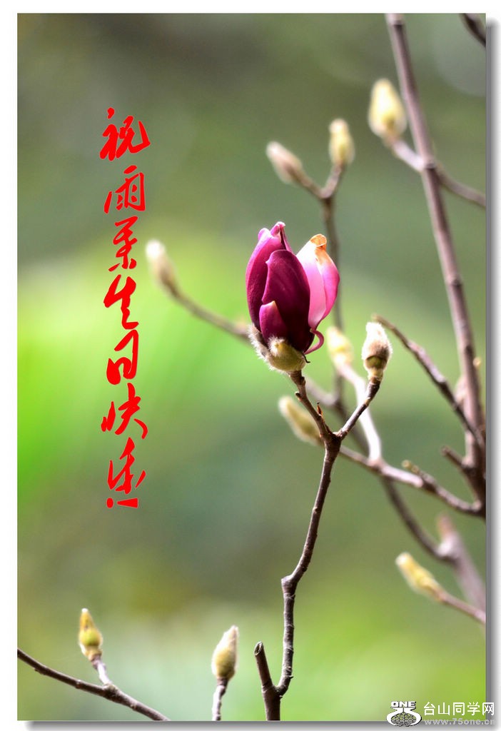 DSC_1936_conew1.jpg