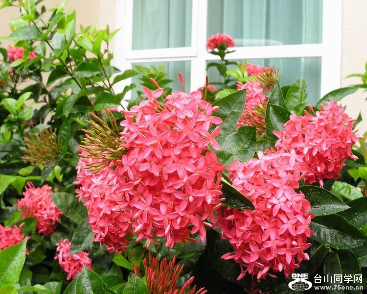 С  PICT0030.JPG