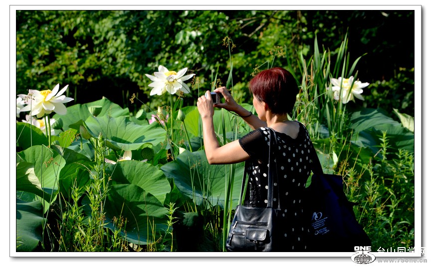 6-21-2012 Flowers 226.jpg