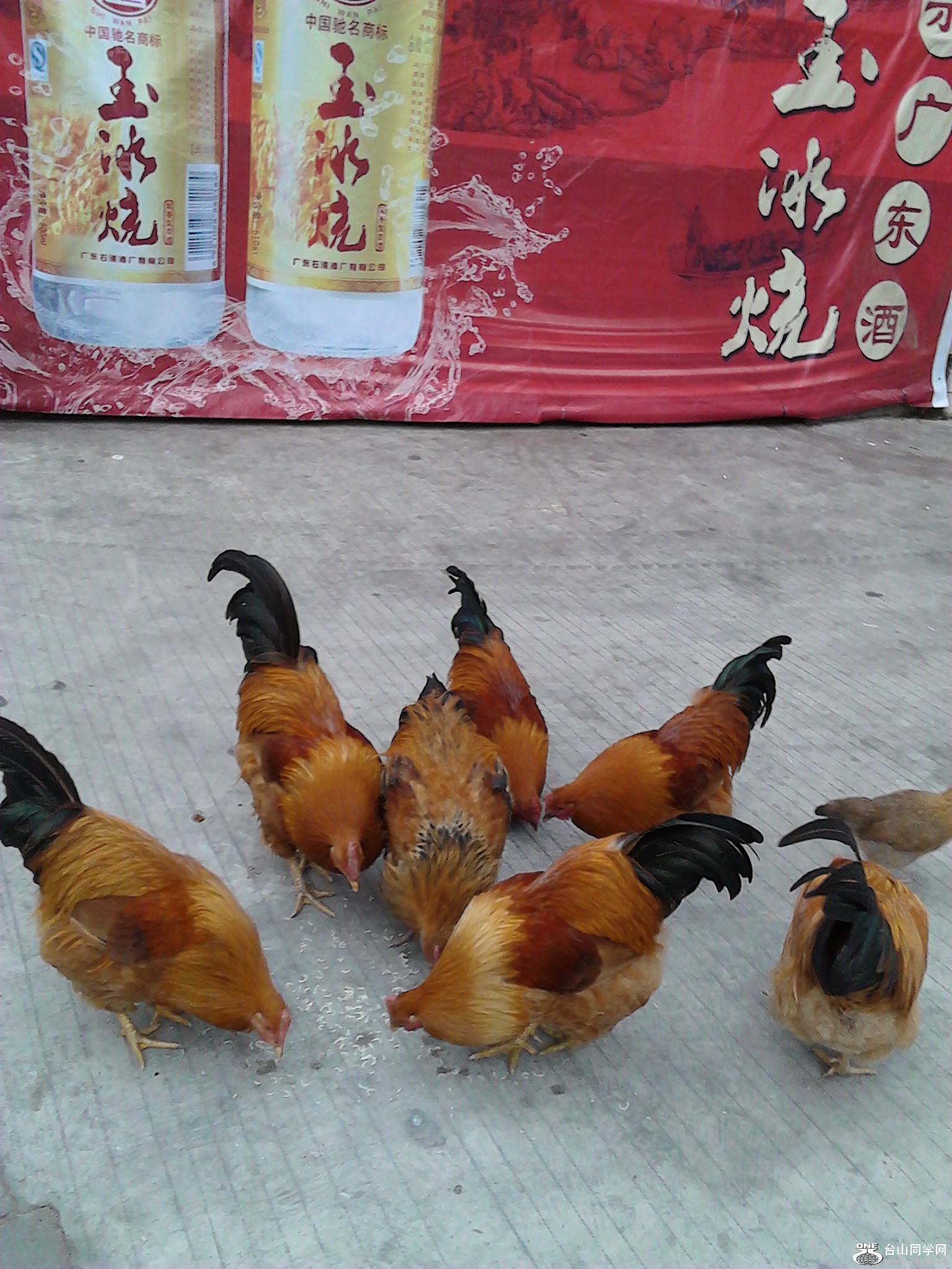 IMG_20121229_151151.jpg