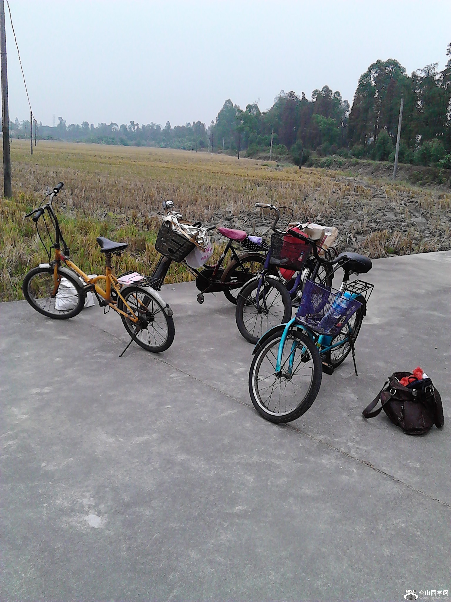IMG_20121229_140500.jpg