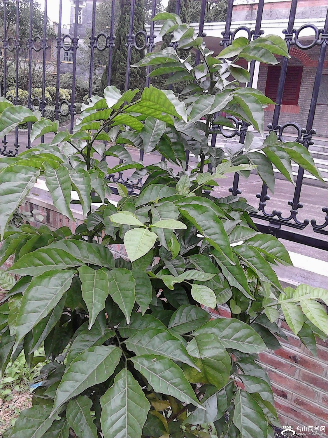 IMG_20121229_144025.jpg