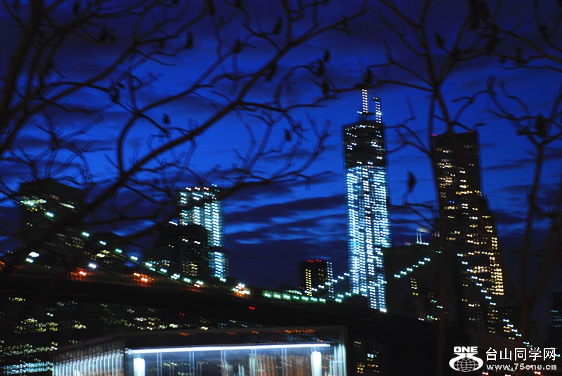 Ϧ&nbsp;&nbsp;1.19.2013 145_.jpg
