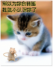 e8441f583c6f0589d674ee9b6754af02[1].gif