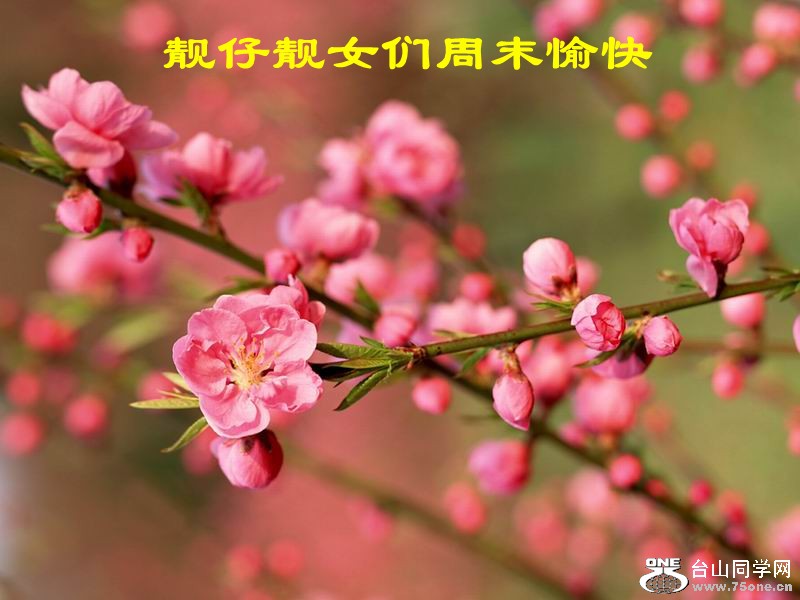 ʻ03.jpg