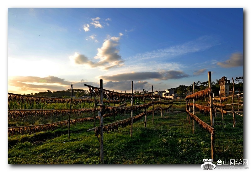 ��Ƭ 265131771.jpg