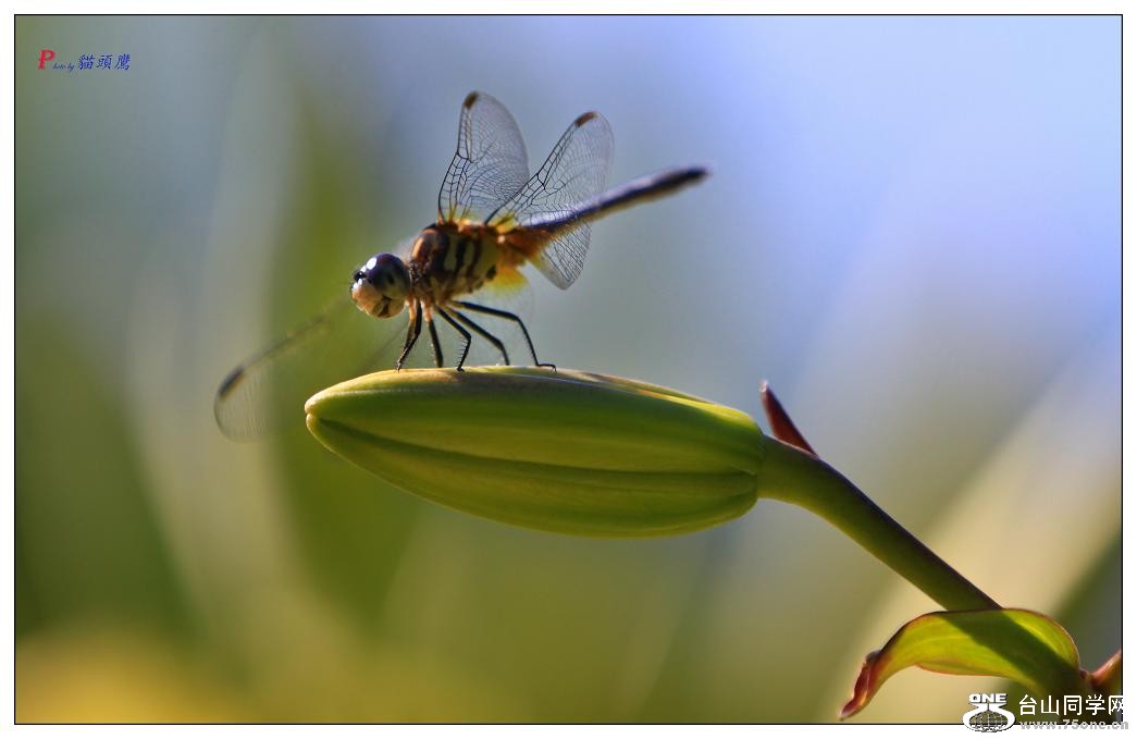 }u (2) -24-193-1.jpg