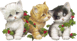 2_41797_2f53f9921c866d8.gif