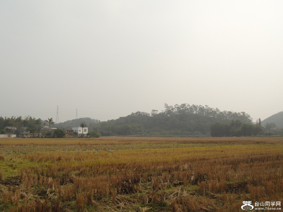 DSC06235.JPG