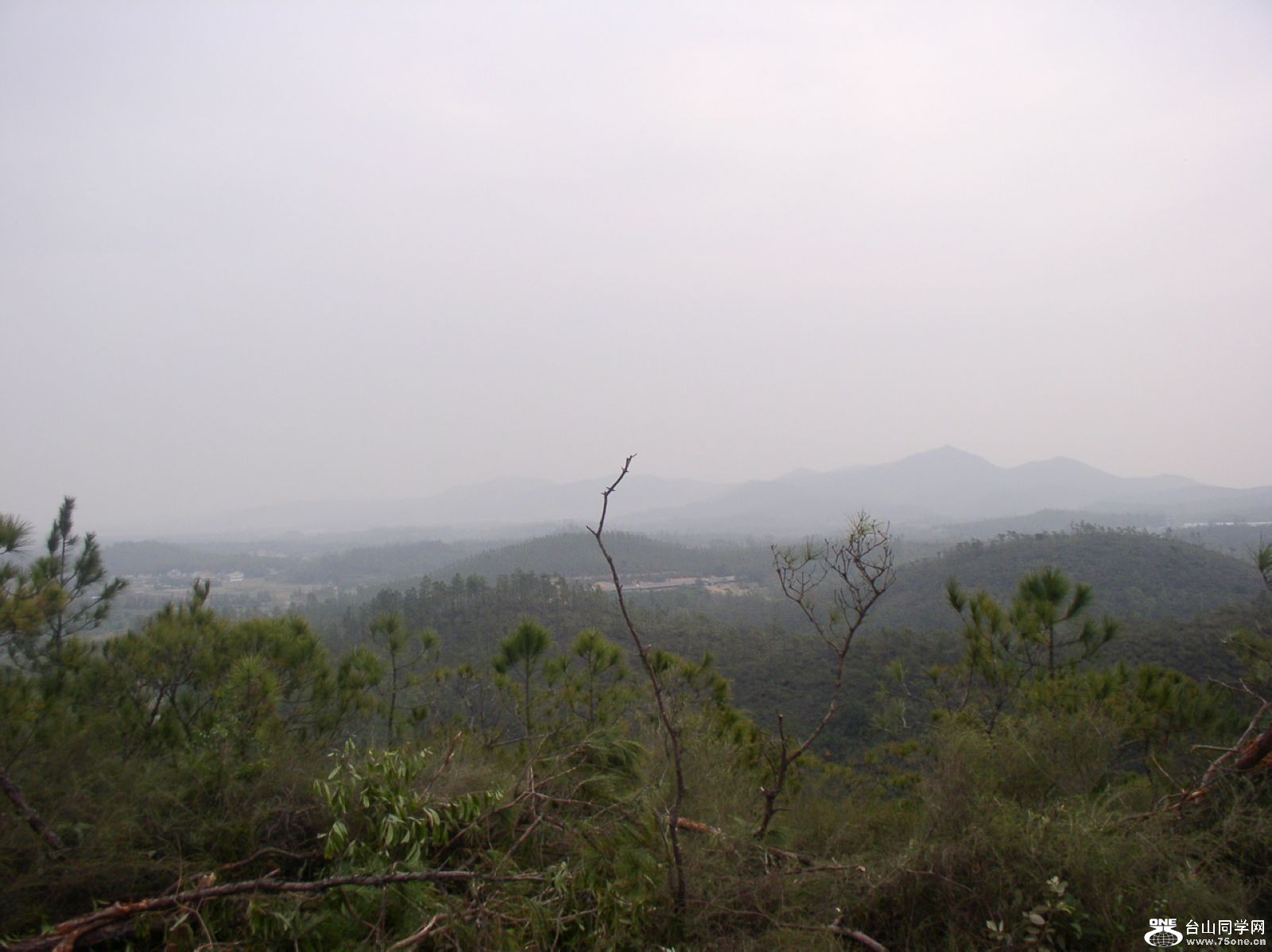 P1010094.JPG