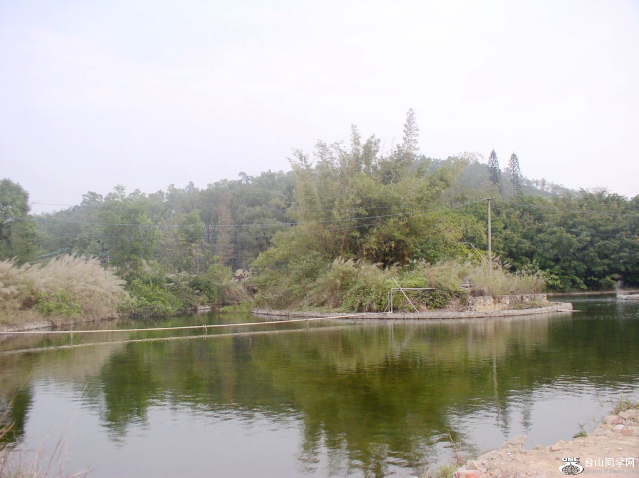 P1010093.JPG