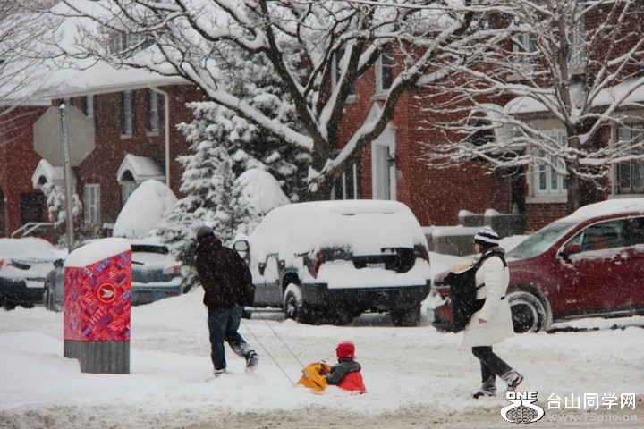 IMG_5049 (Small).JPG