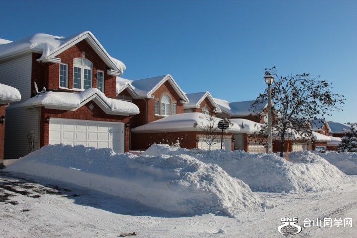 IMG_4564 (Small).JPG