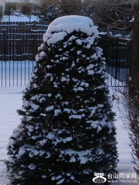 snow5.JPG
