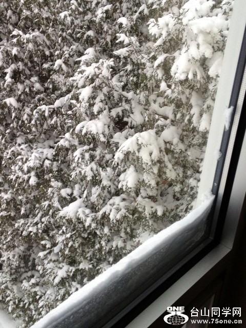 snow4.JPG