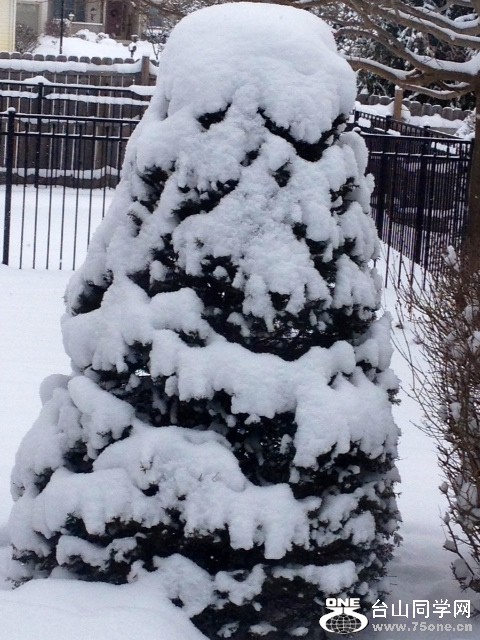 snow6.JPG