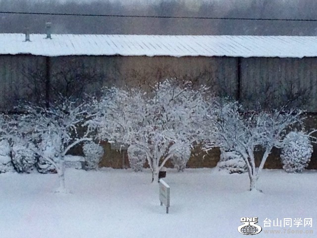 snow3.JPG