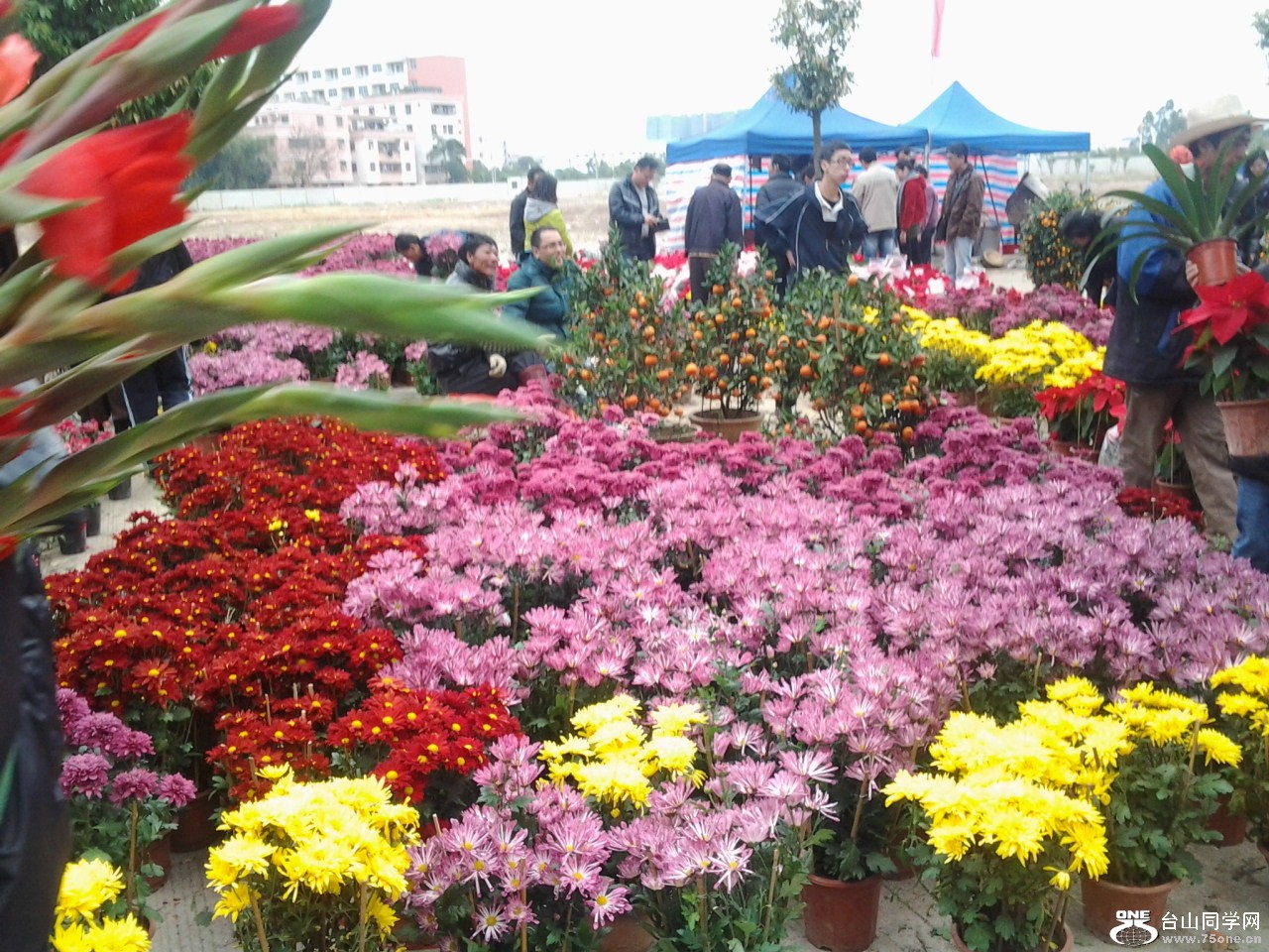2013-02-09 15.32.05.jpg