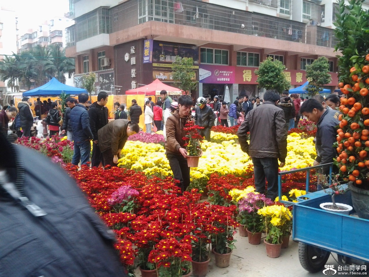 2013-02-09 15.26.44.jpg
