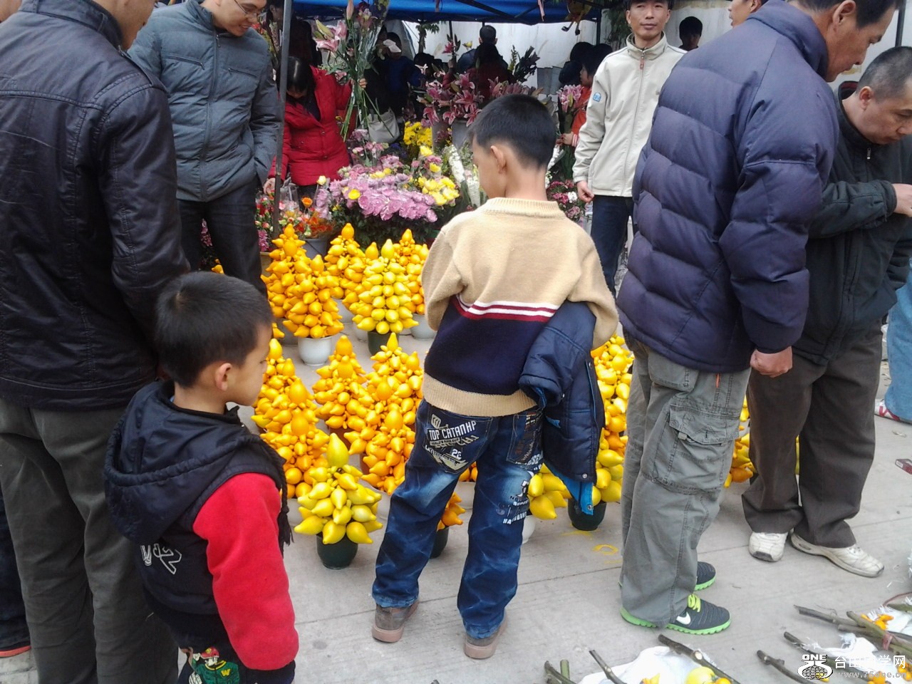 2013-02-09 15.33.45.jpg