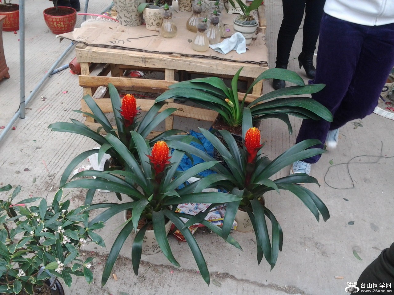 2013-02-09 15.39.49.jpg