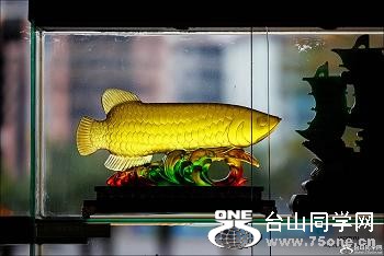 }u -2_46570_ff6b2e72e6e0716.jpg