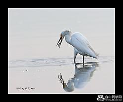 }u -2_46442_5cd1e3db87e596d.jpg