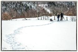 }u -4713_702e13596538954ca48c3f6316cc1.jpg