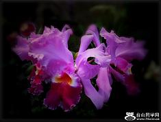 }u -2_5844_934a9ac3131df24.jpg