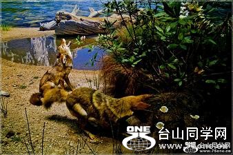 }u -2_35075_9e59c23ea7bf677.jpg