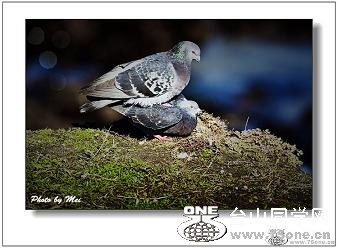 }u -2_35102_bf76a6c69094134.jpg