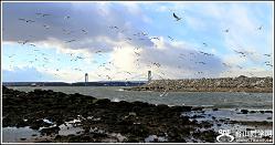 }u -2_35462_46175214268097e.jpg