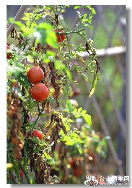 ����Ӣ������ 080.jpg