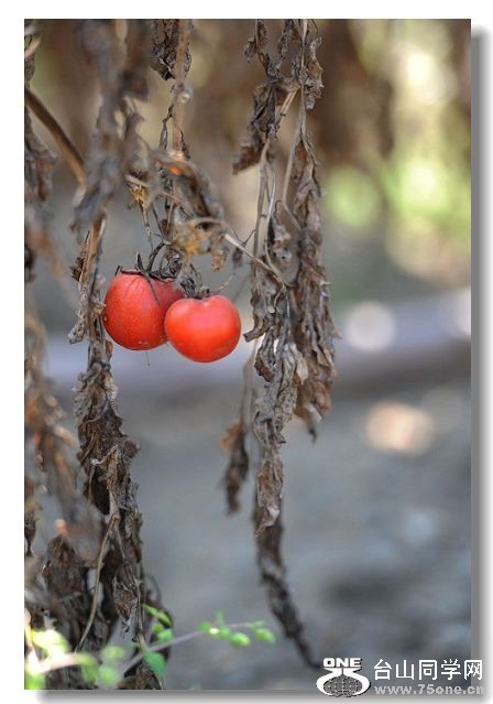 ����Ӣ������ 081.jpg