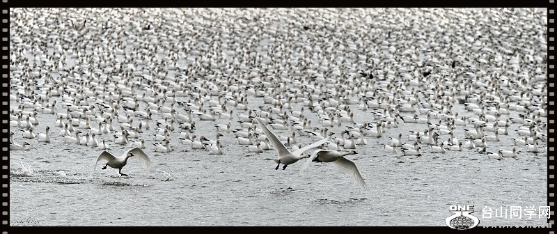 untitled 3914sen.jpg