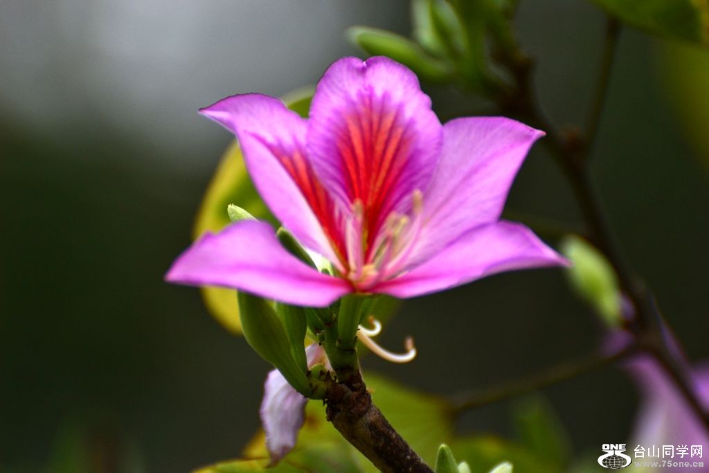 DSC_0246.jpg