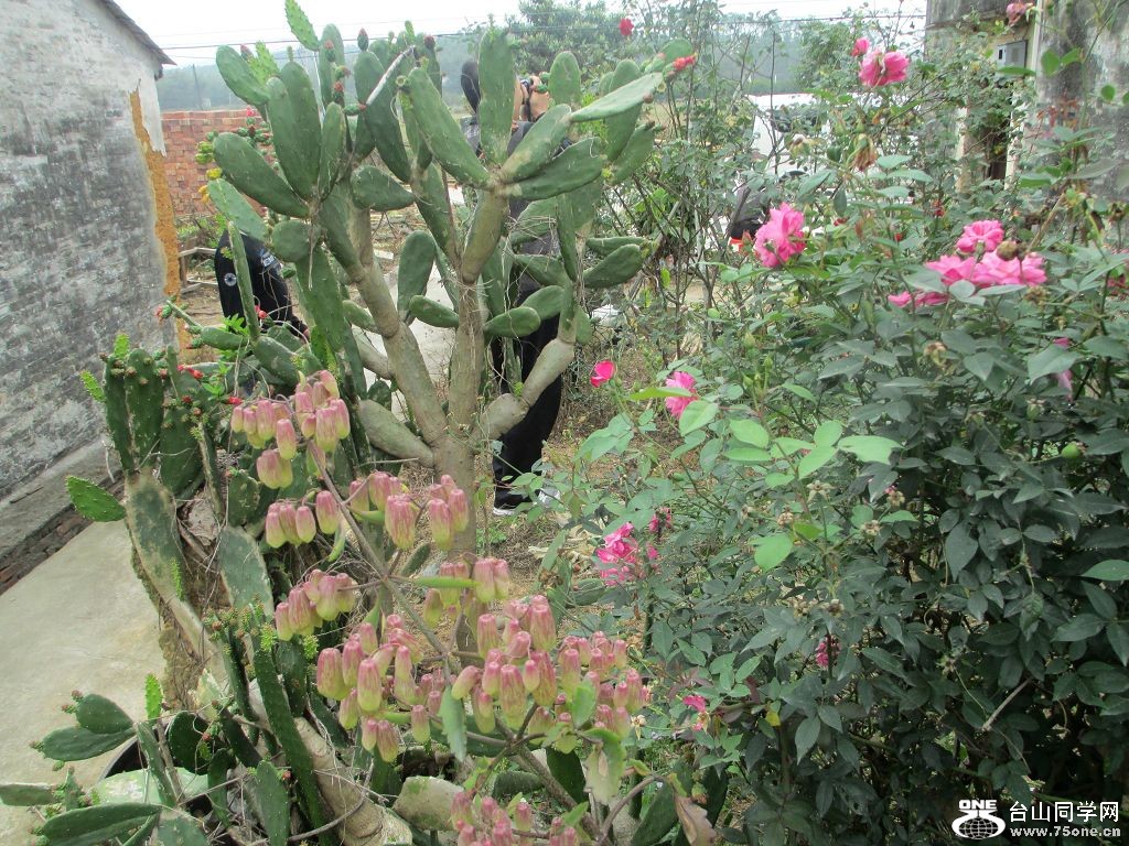 IMG_0152.jpg