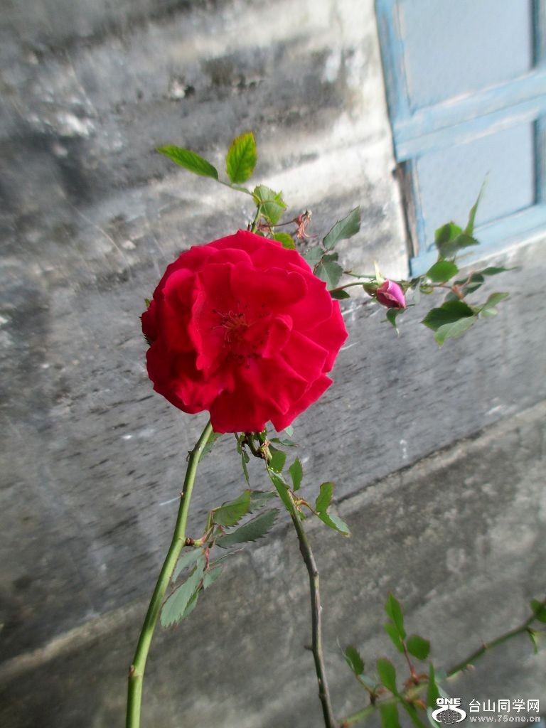 IMG_0153.jpg