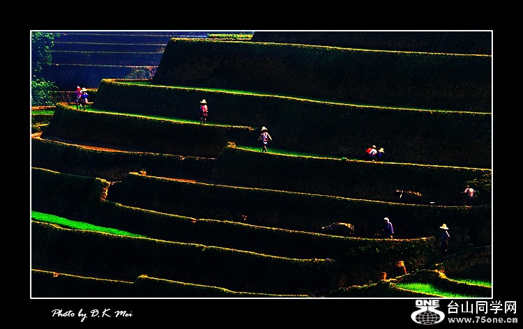 Journey To The West.jpg