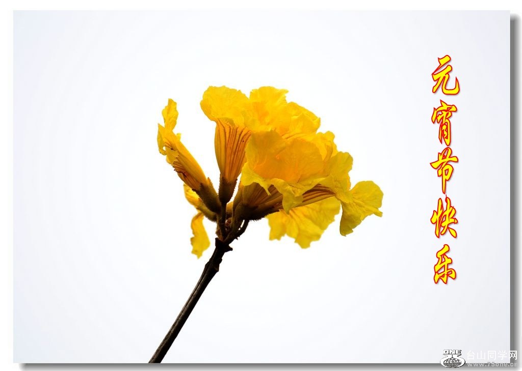DSC_0234_conew1.jpg