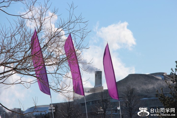 IMG_6159 (Small).JPG