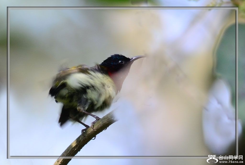 DSC_8570.jpg