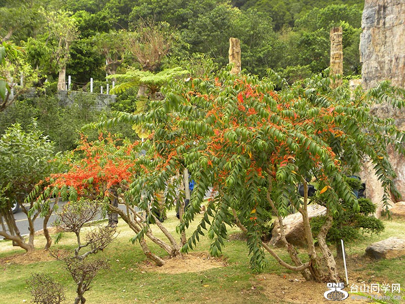 DSCN8925.jpg