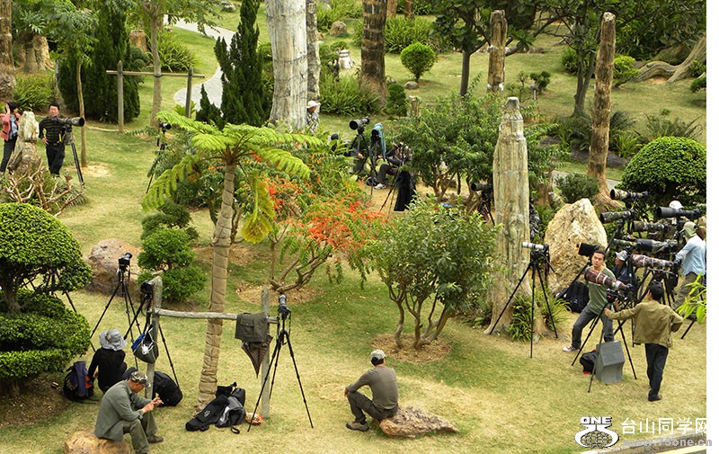 DSCN8919.jpg