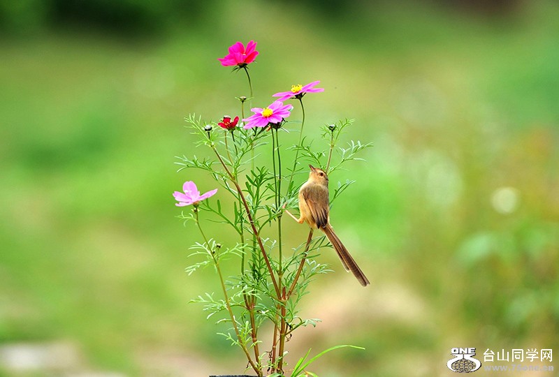 DSC_5748.jpg