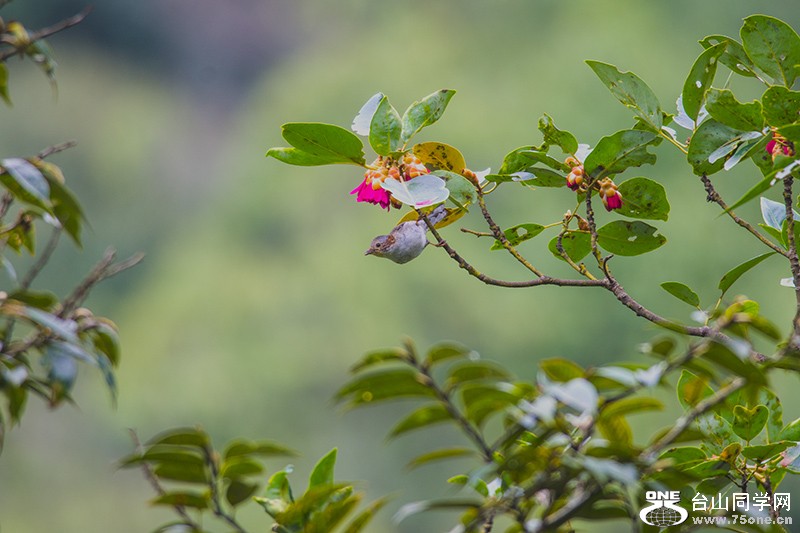 DSC_4030.jpg