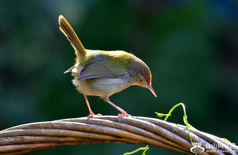 DSC_2948.jpg