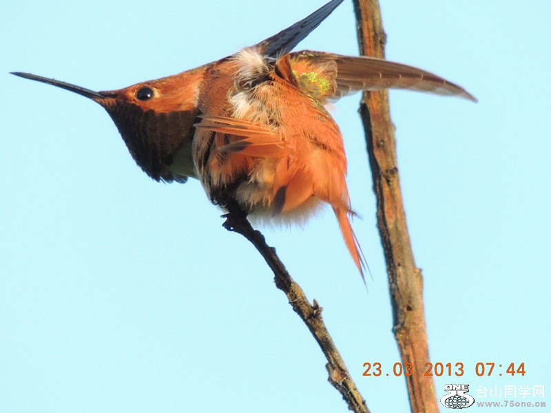 bird 1820_.jpg