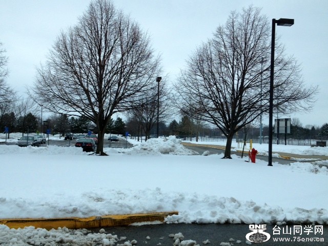 snow4.JPG